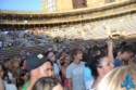 Concierto Pitbul 16