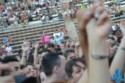 Concierto Pitbul 20