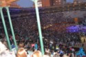 Concierto Pitbul 25
