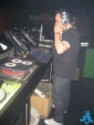 Djtrasgo Sunflowers 11