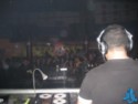 Djtrasgo Sunflowers 12