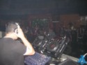Djtrasgo Sunflowers 14