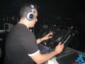 Djtrasgo Sunflowers 15