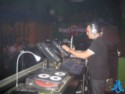 Djtrasgo Sunflowers 16