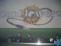 Djtrasgo Sunflowers 2