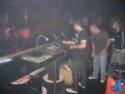 Djtrasgo Sunflowers 4