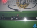 Djtrasgo Sunflowers 7